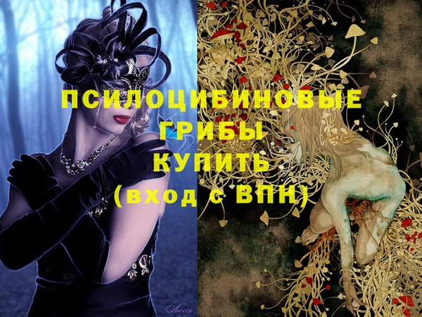 спиды Абдулино