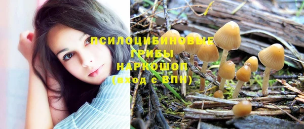 спиды Абдулино