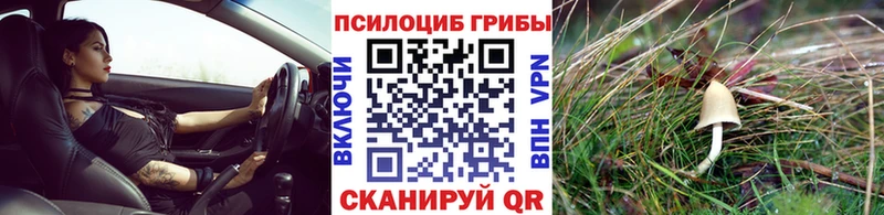 Псилоцибиновые грибы MAGIC MUSHROOMS  Зеленодольск 